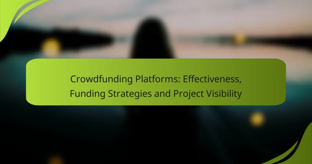 Crowdfunding Platforms: Effectiveness, Funding Strategies and Project Visibility