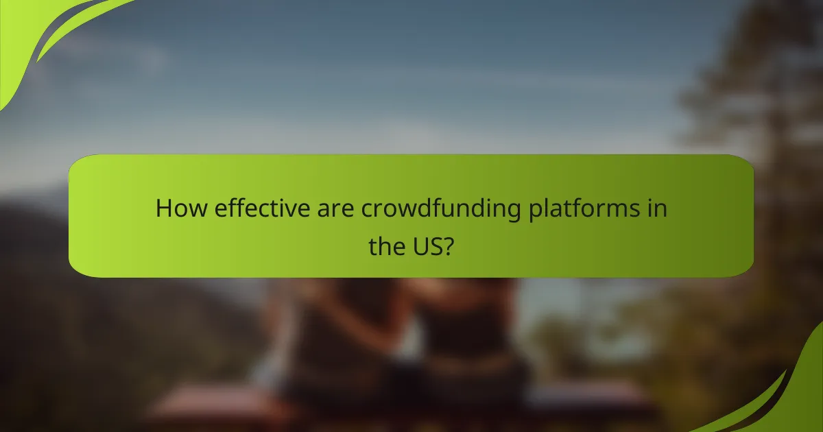 How effective are crowdfunding platforms in the US?