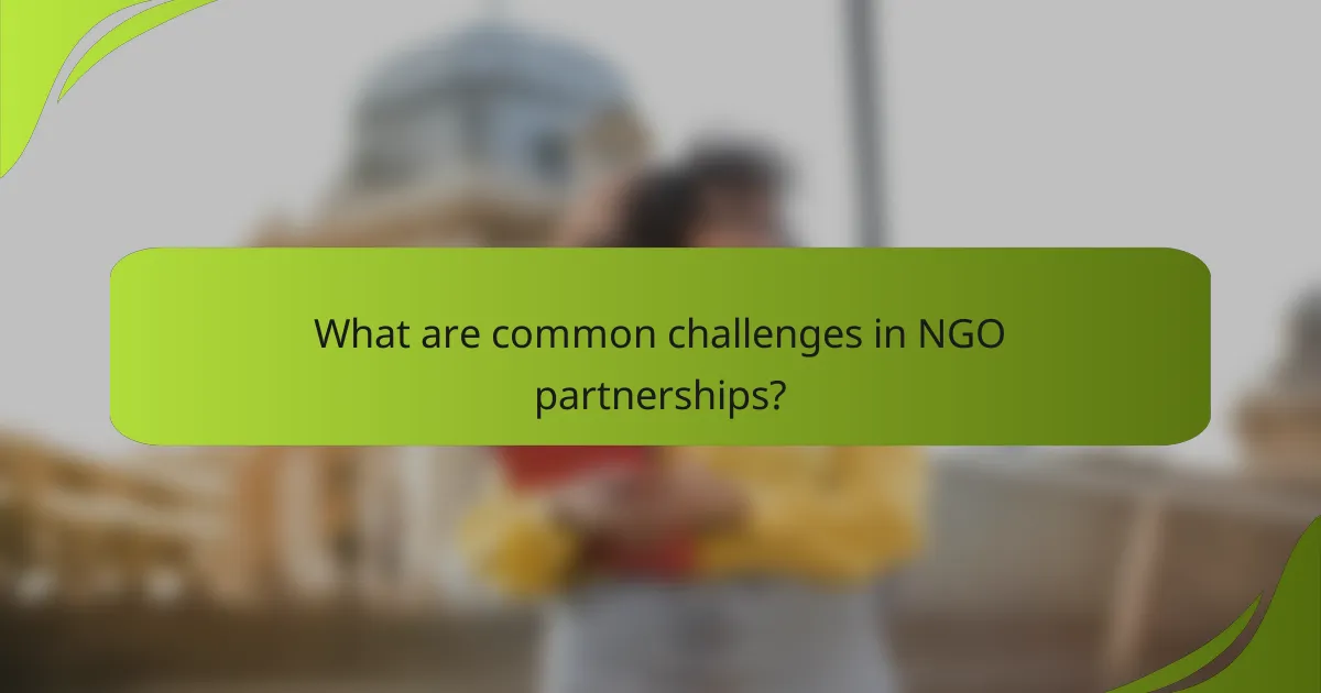 What are common challenges in NGO partnerships?