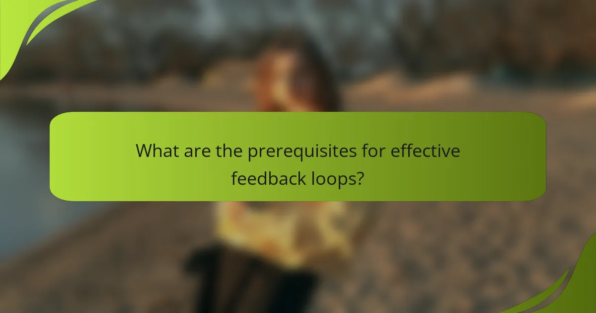 What are the prerequisites for effective feedback loops?