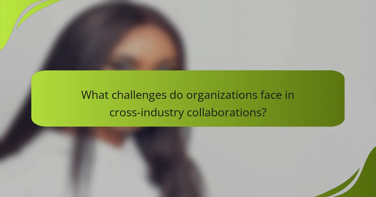 What challenges do organizations face in cross-industry collaborations?