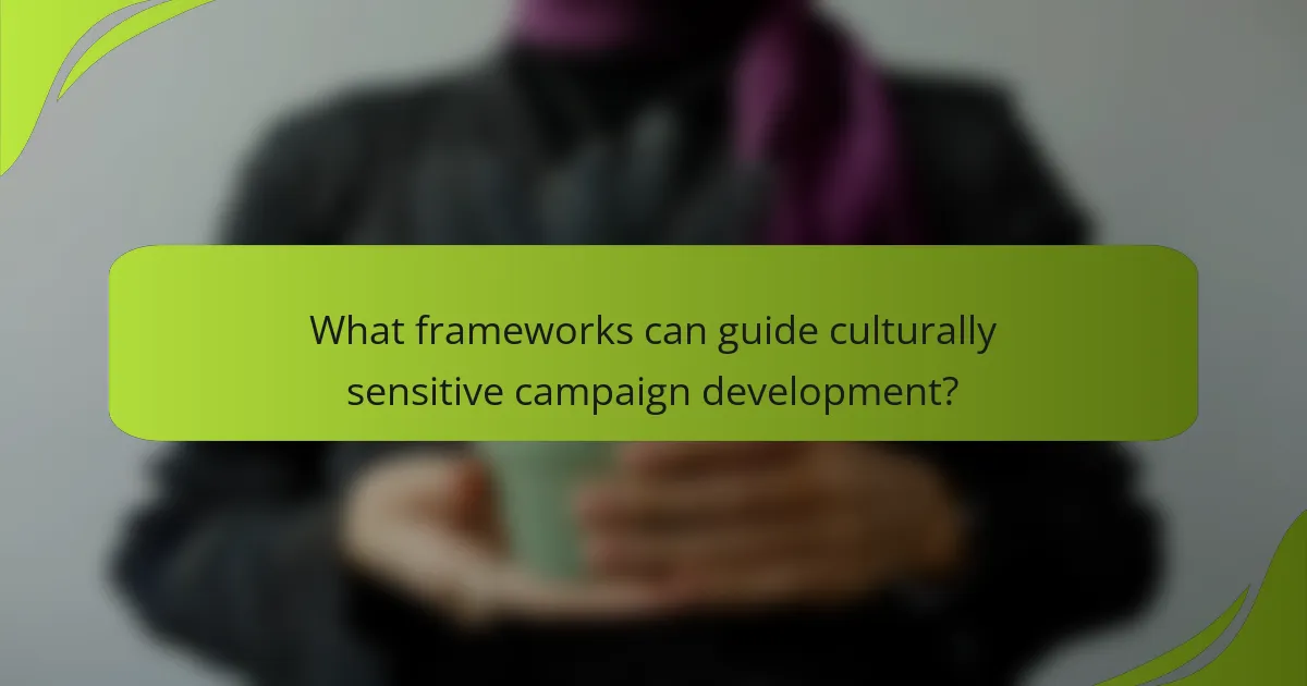 What frameworks can guide culturally sensitive campaign development?